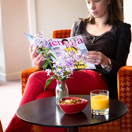 Hotel Le Menestrel Ribeauvillé