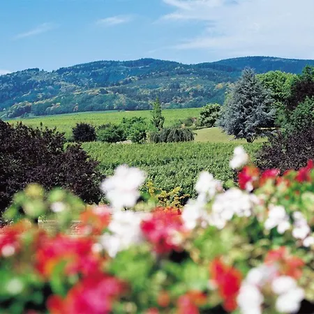 Le Ménestrel 3* Ribeauvillé