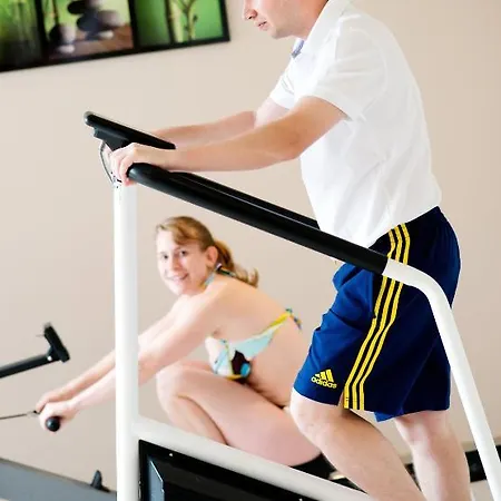 Le Ménestrel 3* Ribeauvillé