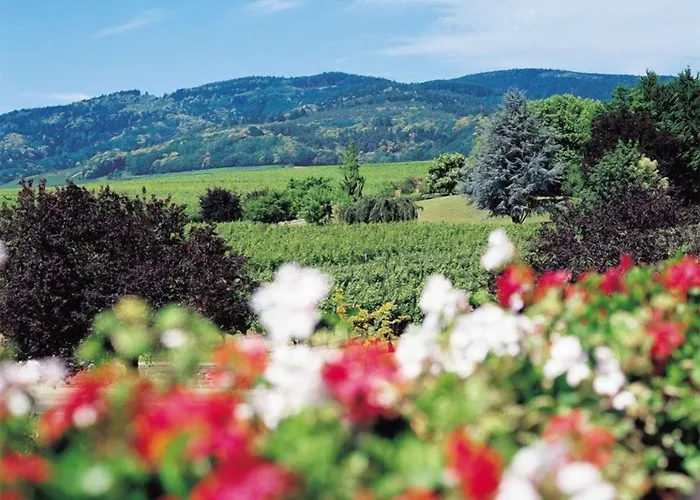 Le Menestrel 3* Ribeauvillé